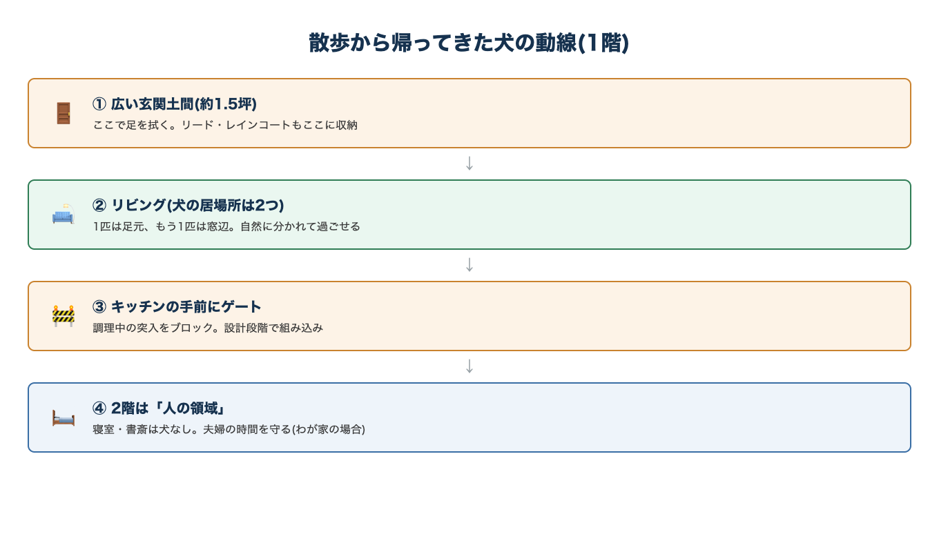 散歩から帰ってきた犬の動線。広い玄関土間で足拭き、リビングに2つの居場所、キッチン手前にゲート、2階は人の領域