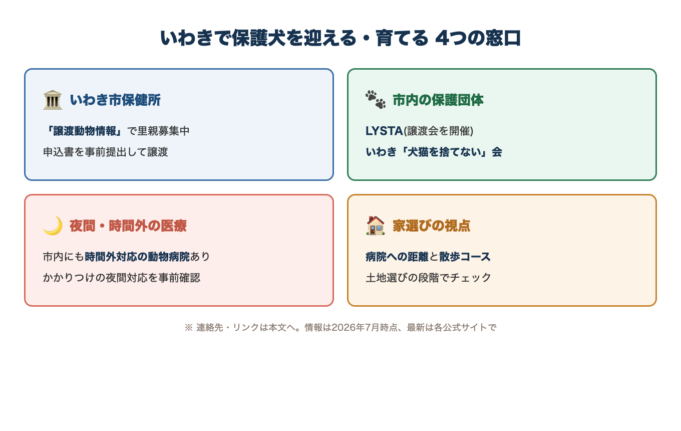 いわきで保護犬を迎える・育てる4つの窓口。市保健所の譲渡制度、市内の保護団体、夜間・時間外の医療、家選びの視点